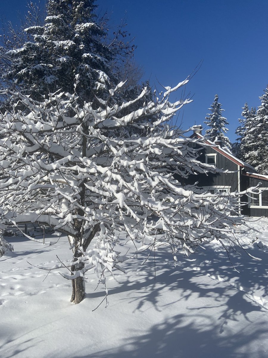 ⁦<a href="/kinsellawarren/">Warren Kinsella</a>⁩ I thought you’d appreciate these… life in the county! 👍🇨🇦