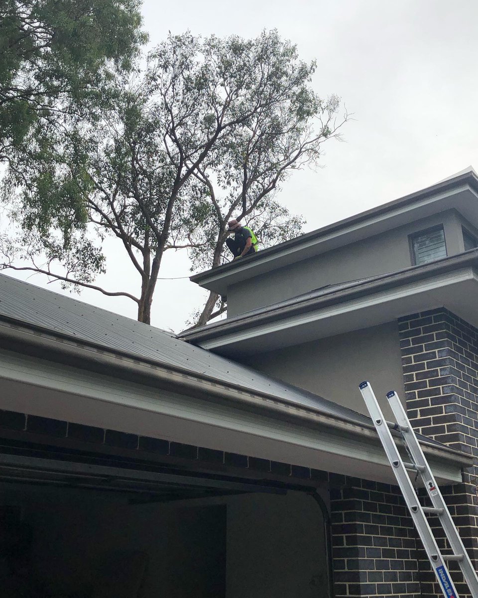 Aust Industrial Vac tweet media