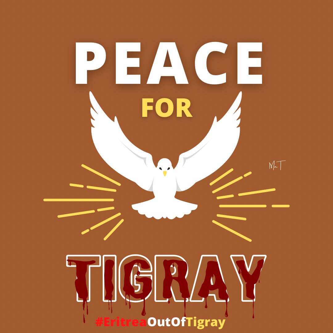 Egregious human rights violations are committed in #Tigray for over #803days. 
We are calling on the @POTUS Administration to act now and withdraw #EritreaOutOfTigray and
Put pressure on🇪🇹. 
@SecBlinken @US @MikeHammerUSA @jakejsullivan @_AfricanUnion 
@VP @USUN @hiwan_gal
