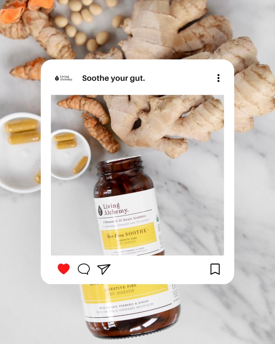 Looking to soothe digestive inflammation and strengthen your gut flora? Try 𝐘𝐨𝐮𝐫 𝐅𝐥𝐨𝐫𝐚 𝐒𝐎𝐎𝐓𝐇𝐄!

An effective prebiotic, probiotic and postbiotic - all in one! + Organic turmeric and ginger to relieve heartburn and nausea.

livingalchemy.ca/products/soothe