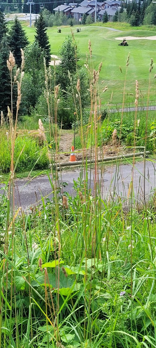 Keith Lyall tweet media