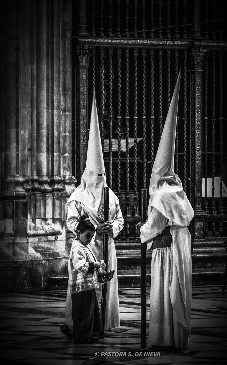 NievaPastora's tweet photo. Herencia y tradición...
Interior de la Catedral de Sevilla...
@pacoperezestepa 
@PacoFraile 
@pasionensevilla 
@j_a_zamora_foto 
@UnCofradeMas
@ElForoCofrade 
@sevillacofrades https://t.co/YZf6SnAHjv