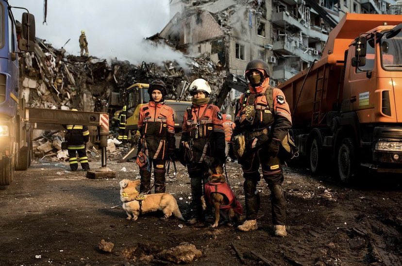 PatronDsns's tweet image. Meet Elton from the search and rescue dog unit @Antares_poshuk
These volunteer dog trainers work with all structures simultaneously: the police, SES,and others, without payment or medals. Now they’re in the Dnipro, looking for people under the rubble.
Photo: Antares.Poshuk (Inst)