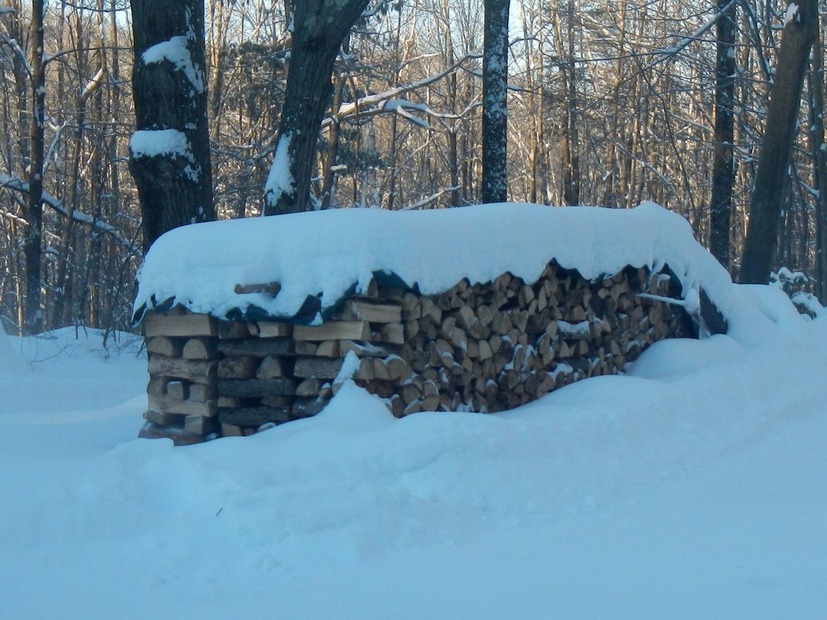 chrishendel's tweet image. There's something just so deeply satisfying about stacking -- and stacked -- wood. 🪓🪵