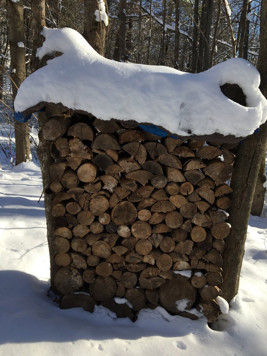 chrishendel's tweet image. There's something just so deeply satisfying about stacking -- and stacked -- wood. 🪓🪵