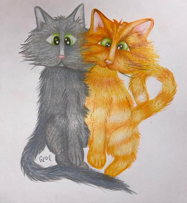 I drew my two kitties reimagined as conjoined brothers everyone saying it&rsquo;s creepy but come on l love