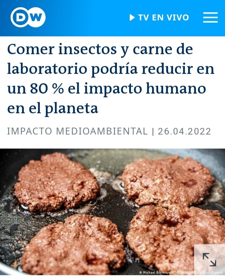 La buwna carne para unos pocos, igual que los viajes en avion y otros 'lujos'. Para la mayoria, alegre sumision a la neoesclavitud en nombre del planeta.