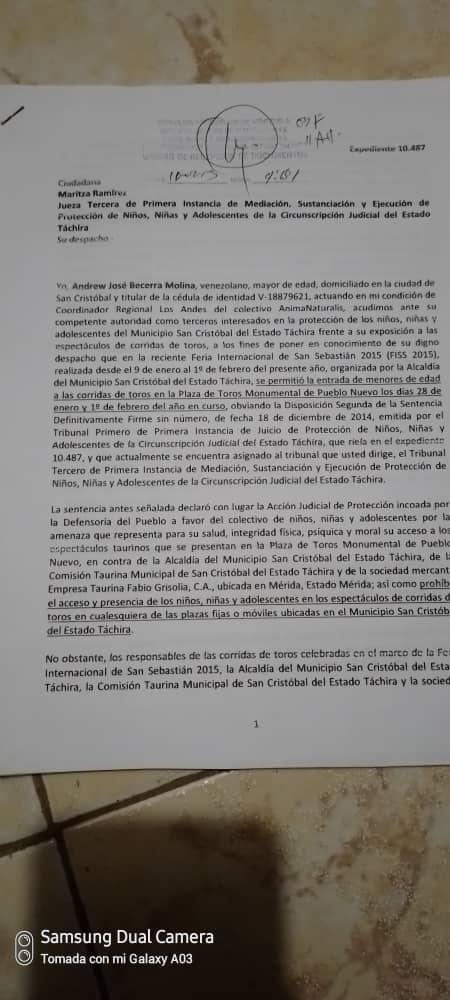 AndrewBTattooer's tweet photo. lo más triste es que a pesar del esfuerzo que hizo @MinpublicoVEN junto a organizaciones animalistas por conseguir la prohibición del acceso y participación de los menores de edad en #corridasdetoros en #SanCristóbal no se respete dicha sentencia @TarekWiliamSaab https://t.co/ibmkQdugCK