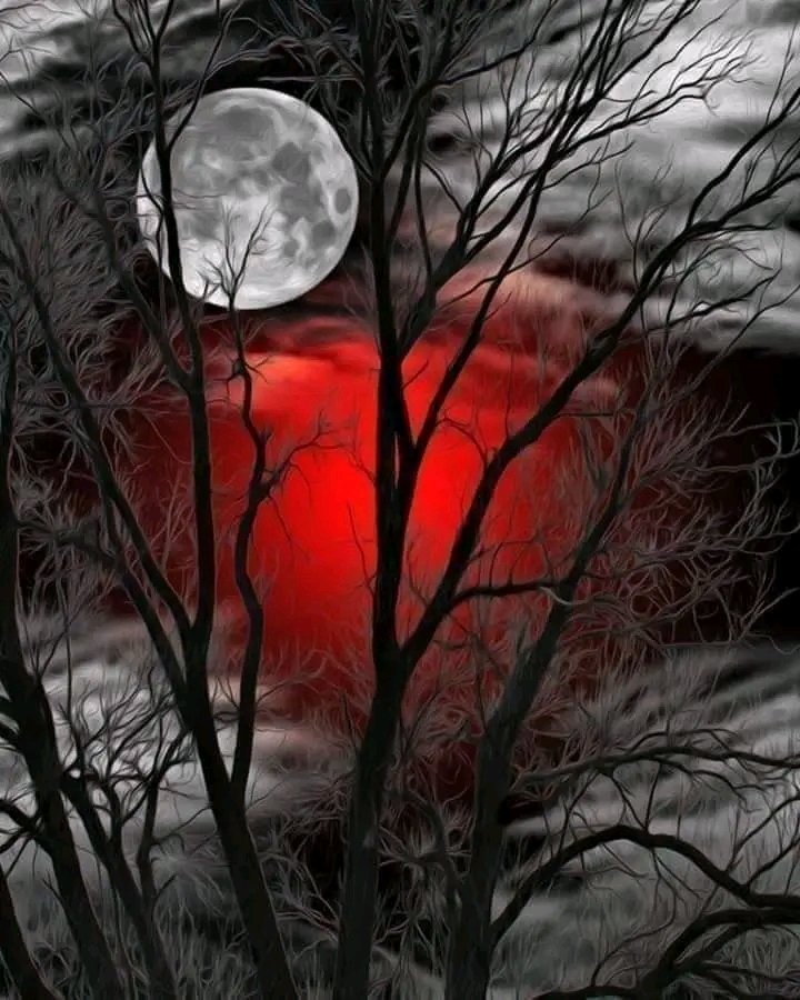 When the moon is full 
And our hearts aflame
Even the wind
Will whisper your name..🖤