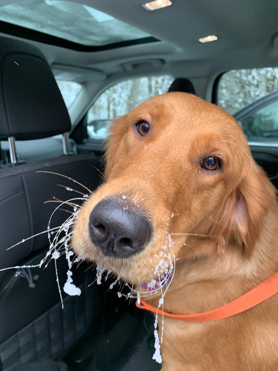 rutherfordblouu's tweet photo. There’s nothing better than a Canadian winter❄️ https://t.co/H2axOSeT4F