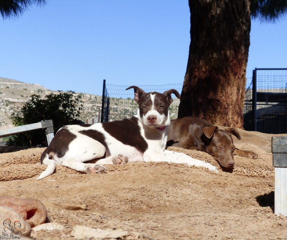 Saving Lives tweet media