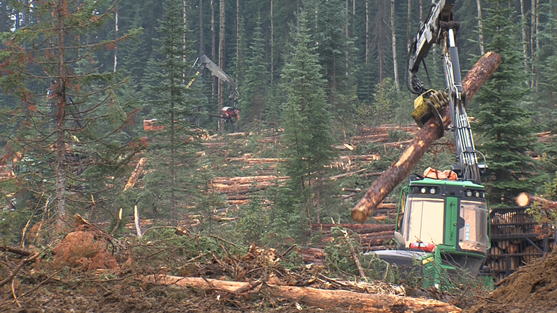 ckpgnews's tweet photo. Forestry rally planned for Northern Resource Forum in Prince George https://t.co/MxY6y0ojY0 https://t.co/Oxto3ixi5c