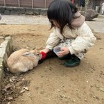 ウエストラン 4月16日加賀温泉郷マラソンのツイート画像