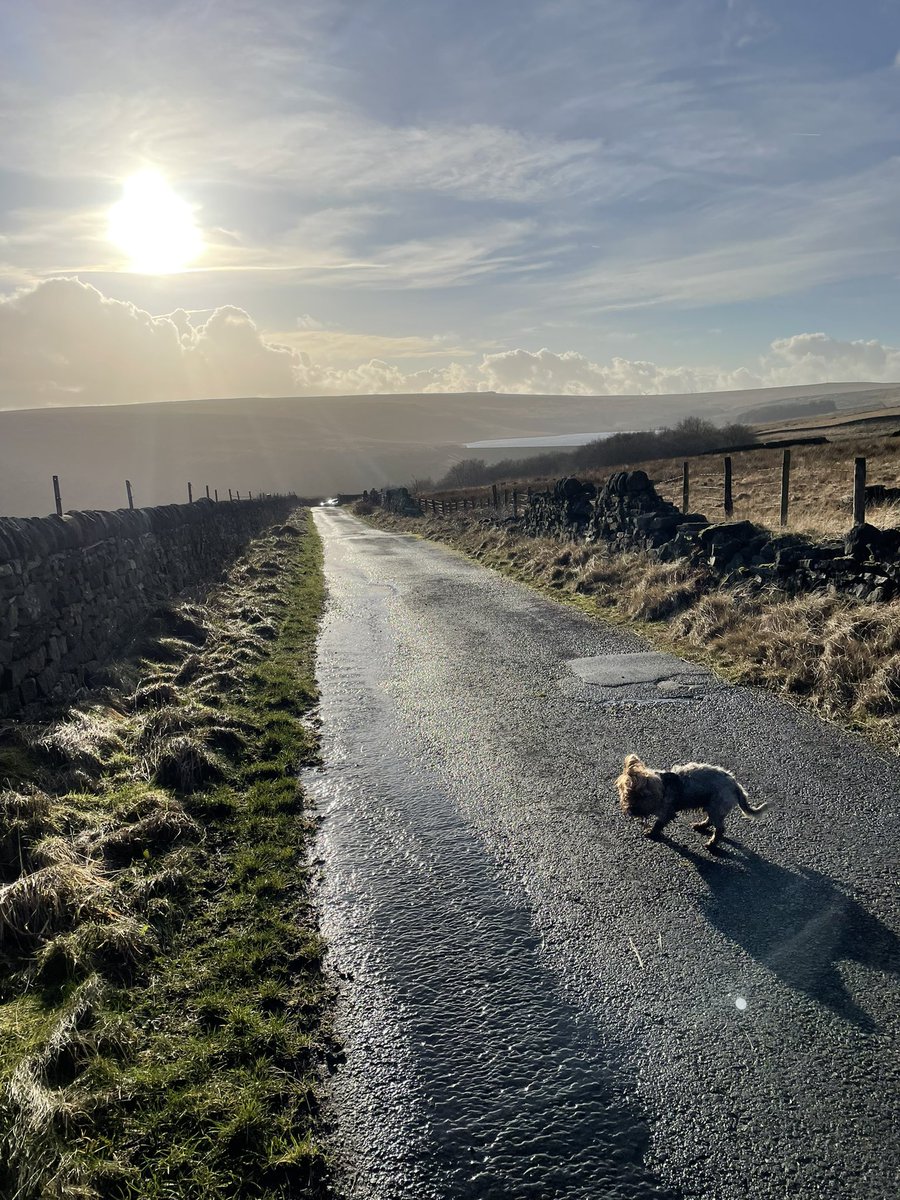 Elizabeth Alker tweet media