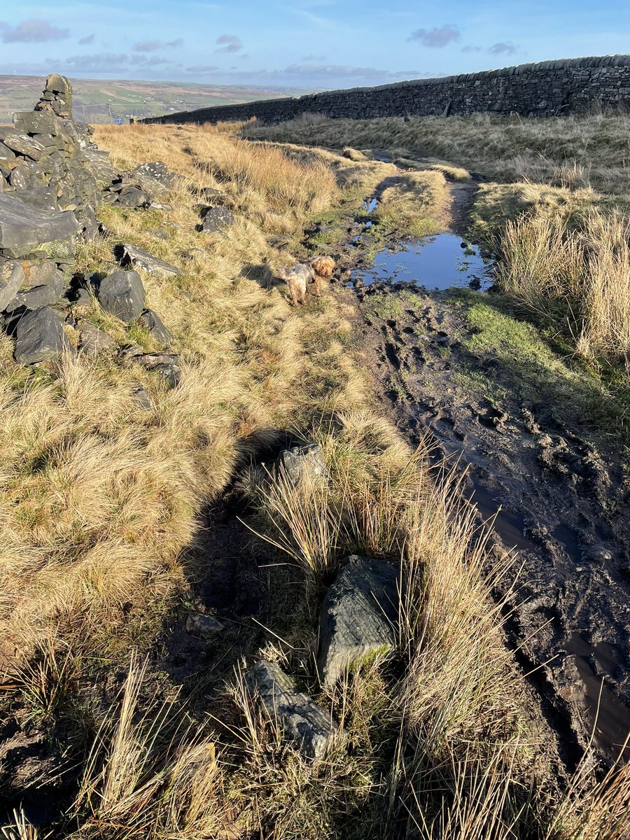 Elizabeth Alker tweet media