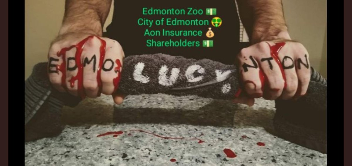 JulieKi53713414's tweet photo. @LaraAAnderson1 @YvonneHooper20 @Missymaizey89 @pathsforppl @AmarjeetSohiYEG @AshleyASalvador @AaronWardDene @pamdomecq @ValleyViewLodg1 @JulieBe77816533 @Mattel @BBCPanorama @pablo_ivonne @HouseForeign @Paulatics @worlockandrea @yegcc @ZoocheckCanada @AlbertaAg @AnimalAbusers @FFexposed @animalabusewar @kprincipeyeg @_TimCartmell @LtGovAB @cafreeland @CdnChange @CFAWR @BBCWorld @BBCBreaking @BBCNews @guardianeco @guardiannews @YahooCanadaNews @CBCCanada @UNBiodiversity @ABDanielleSmith @CNNImpact @YourAlberta @albertachambers @KingsBench_AB The number$ of people,customer$, $taff,operation$ ppl,vet$, children, bu$load$ of student$,familie$ pa$$ing through Edmonton Valley Zoo gates WATCHINGthe silent $uffering of Lucy & her pris$onmate$ decade after DECADE,FEELING sorry for these souls but sayingNOTHINGis staggering💔 https://t.co/CR13rSEToB
