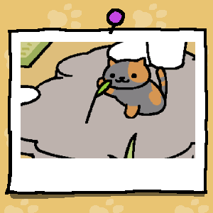 #ねこあつめ