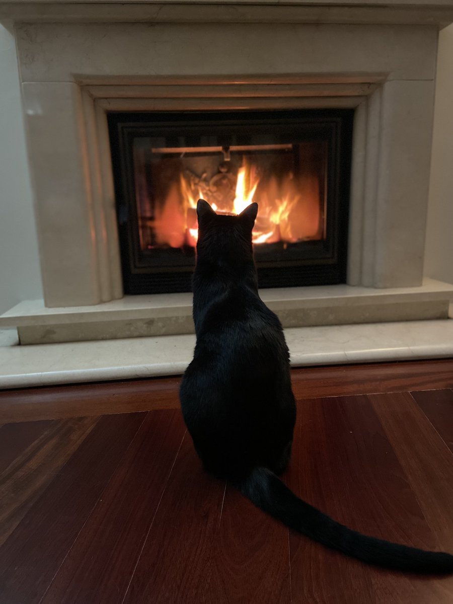 mussel_girl tweet media