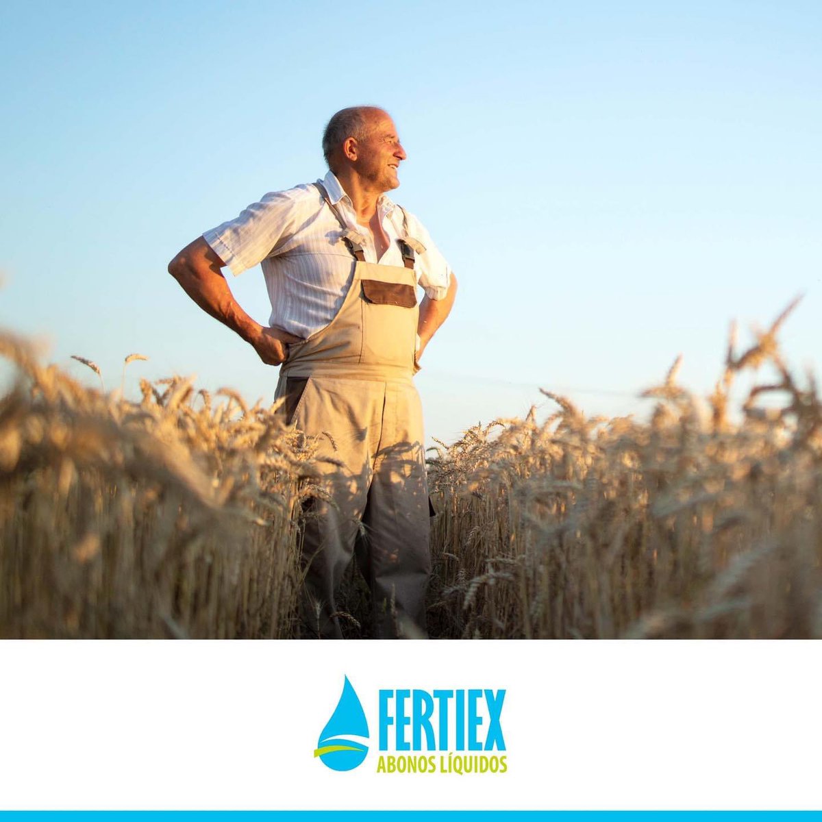 ▪️En Fertiex, nos esforzamos por satisfacer las necesidades de los agricultores. Para ello, ofrecemos abonos sólidos de alta calidad para mejorar la productividad de sus cosechas. Estos abonos son formulados con los nutrientes necesarios para el crecimiento de los cultivos.🌾