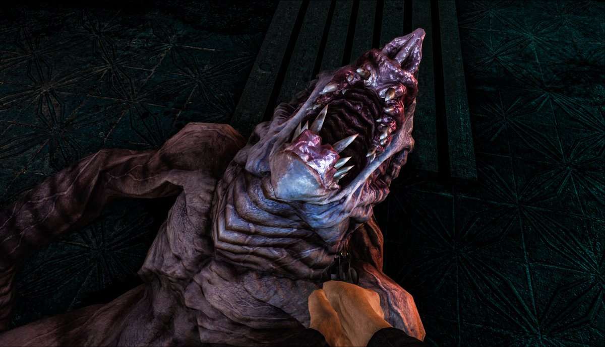 HomuraChihiro's tweet photo. What big teeth you have!
#Metro2033 #PS5 #PS5Share #VirtualPhotography #horrorgame #FPS #WorldofVP #VGPUnite #vpgraph #LandofVP #screenshotsunday #UDLRFauna https://t.co/NnsbIvA3LM