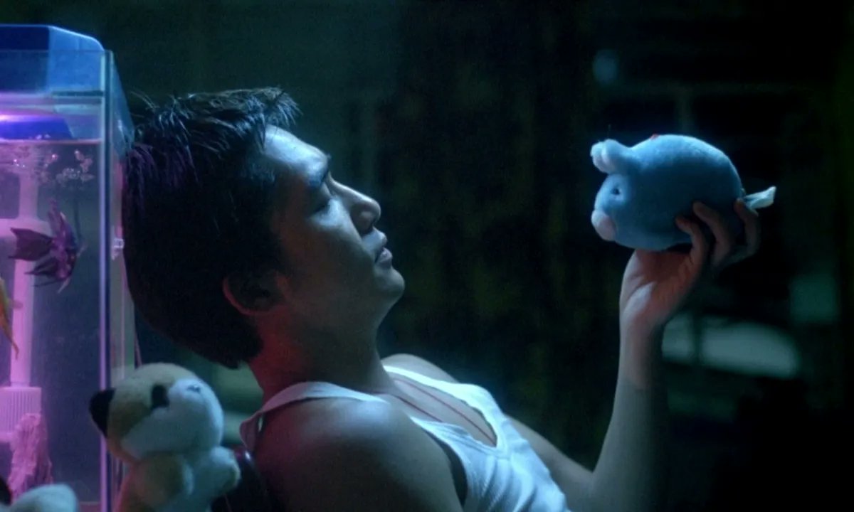 TheCinesthetic's tweet photo. Chungking Express (1994) dir. Wong Kar-wai
https://t.co/qQB7vlDrFx