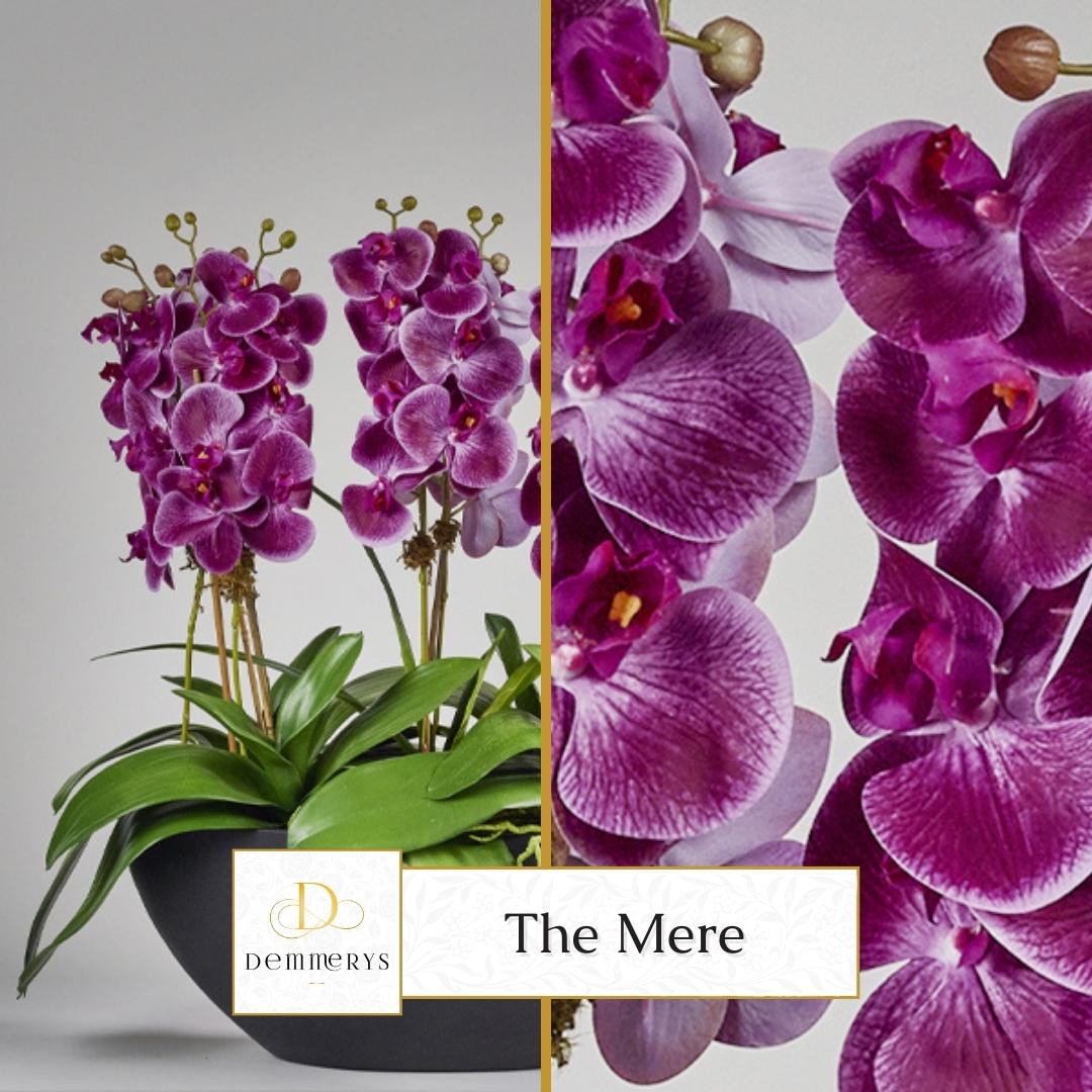 Demmerys's tweet photo. The Mere is proof that you don't need to break the bank to have a stunning artificial flower arrangement. With delicate petals and a pastel colour palette, the artificial phalaenopsis orchid is a timeless beauty that will add style to your home. https://t.co/VMqTxNS5GY #orchids https://t.co/yiYAyDm8hE