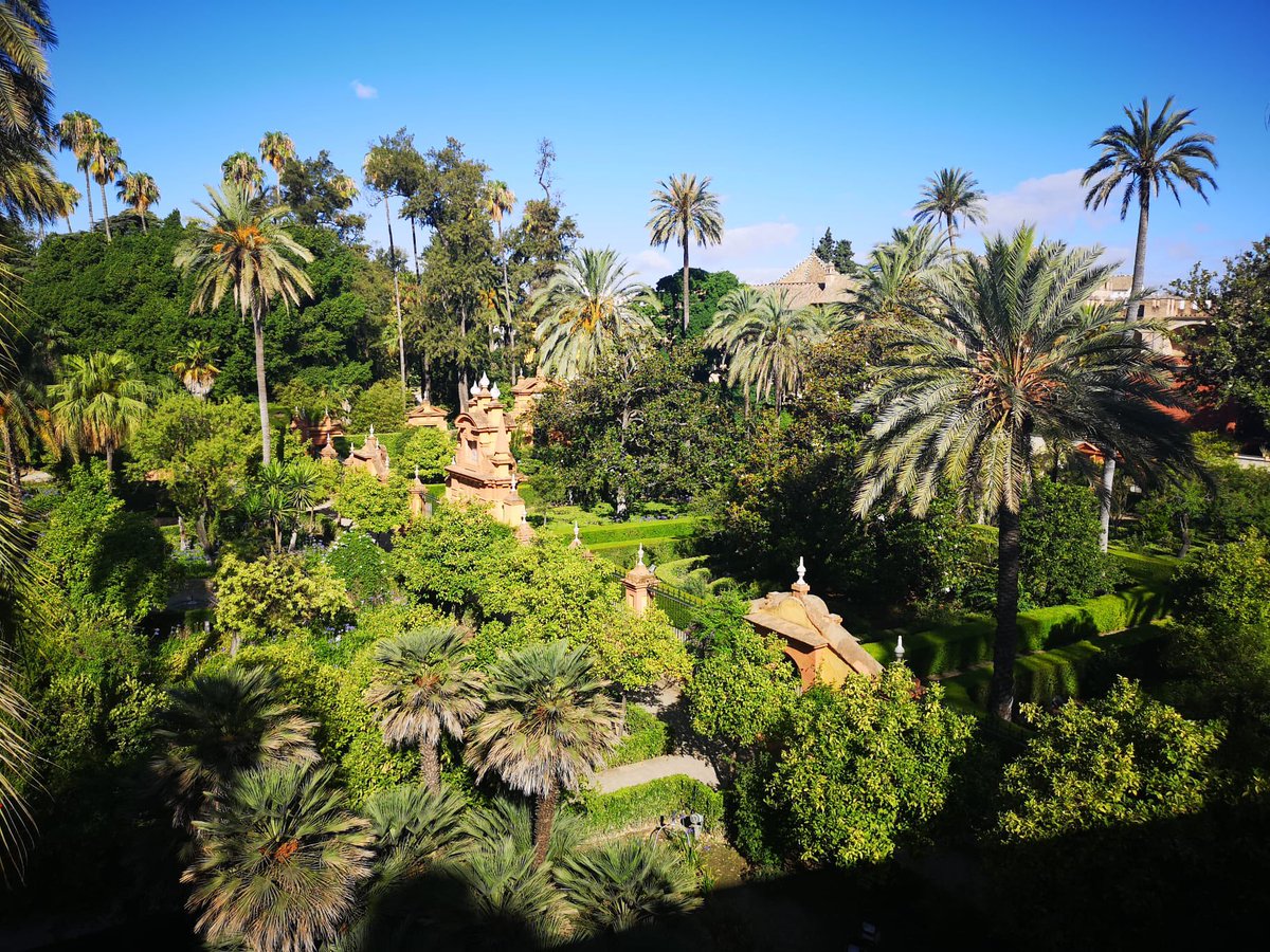 Ayto_Sevilla's tweet photo. ⚜️ El @SevillaAlcazar permitirá visitar sus murallas en primavera, ofreciendo vistas inéditas de los jardines del Palacio.

El balcón del Estanque de Mercurio o la parte superior de la Galería del Grutesco formarán parte del recorrido una vez instauradas las medidas de seguridad. https://t.co/OIXblnfKK9