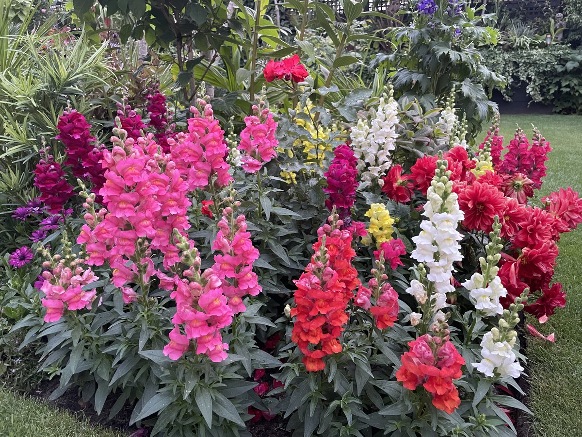 Can’t wait to grow these again