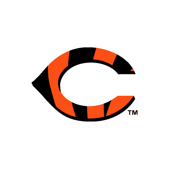 Cincinnati Reds on X: Run it back, @Bengals. #RuleThePlayoffs