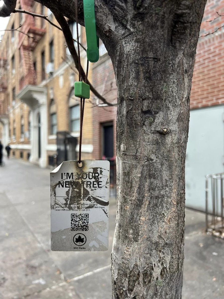 greentrees_io's tweet photo. NY is in the game!!!

https://t.co/KvwNHb3Prj

#GRN #BRC #PNE #CST #OAK #MPL #Polygon #Stellar #Ecologi #GreenTrees https://t.co/CQMUcWxfym