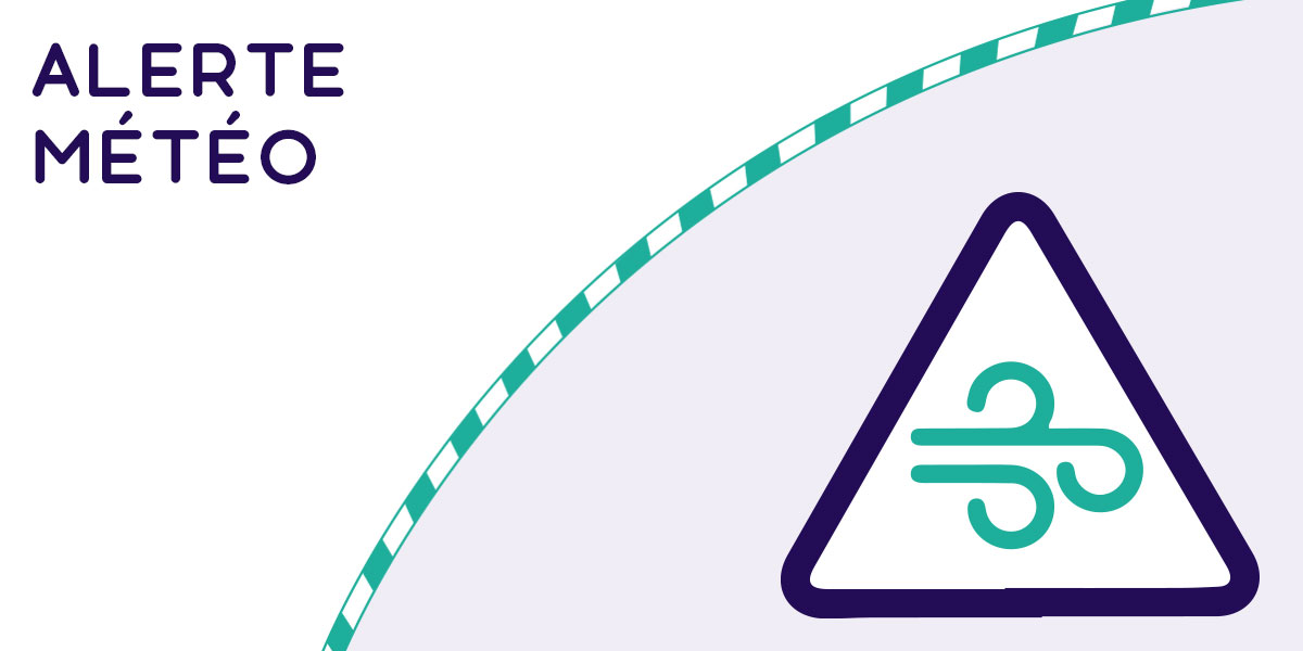 SNCF NOMAD TRAIN tweet media