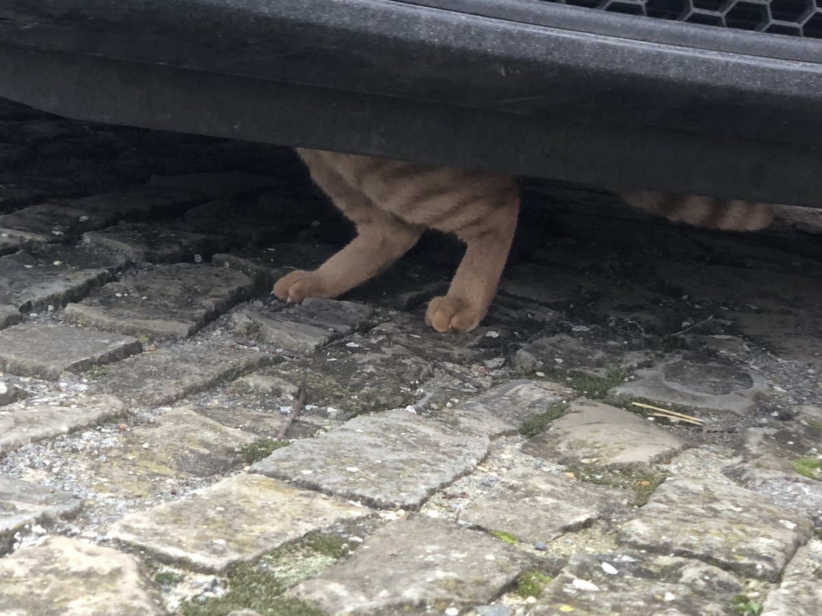 oil_strike's tweet image. Huge negative for EVs wait for it…🤪 #wasteheat #inefficient #fossilcars