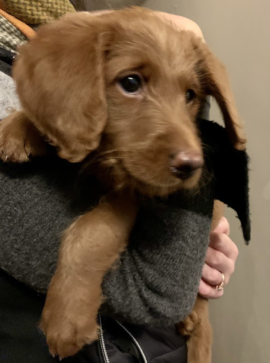 Tom Nightingale tweet media