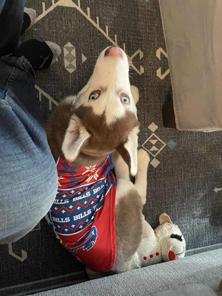 Richrodd's tweet photo. Ahsoka repping #BillsMafia today https://t.co/zrNm9vYzGV