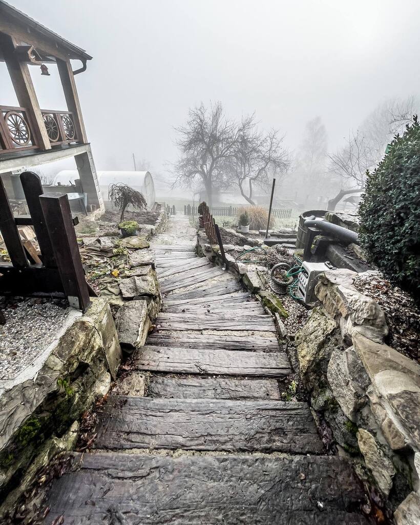 Misty yard #letsgo #puchov #slovakia #travelphotography #travelphoto #wonderful_places #misty #mistymorning #mytravelgram #instagood #instapassport #traveler #naturelover #igtravel #europe #beautifuldestinations #holiday #january #igers #igers_greece_ #mist #instagood #natur…