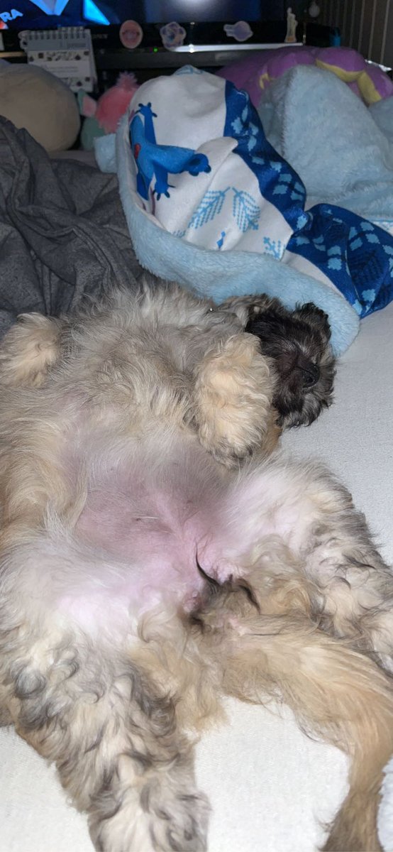 Kraysay's tweet image. Welcome Home little one🥺