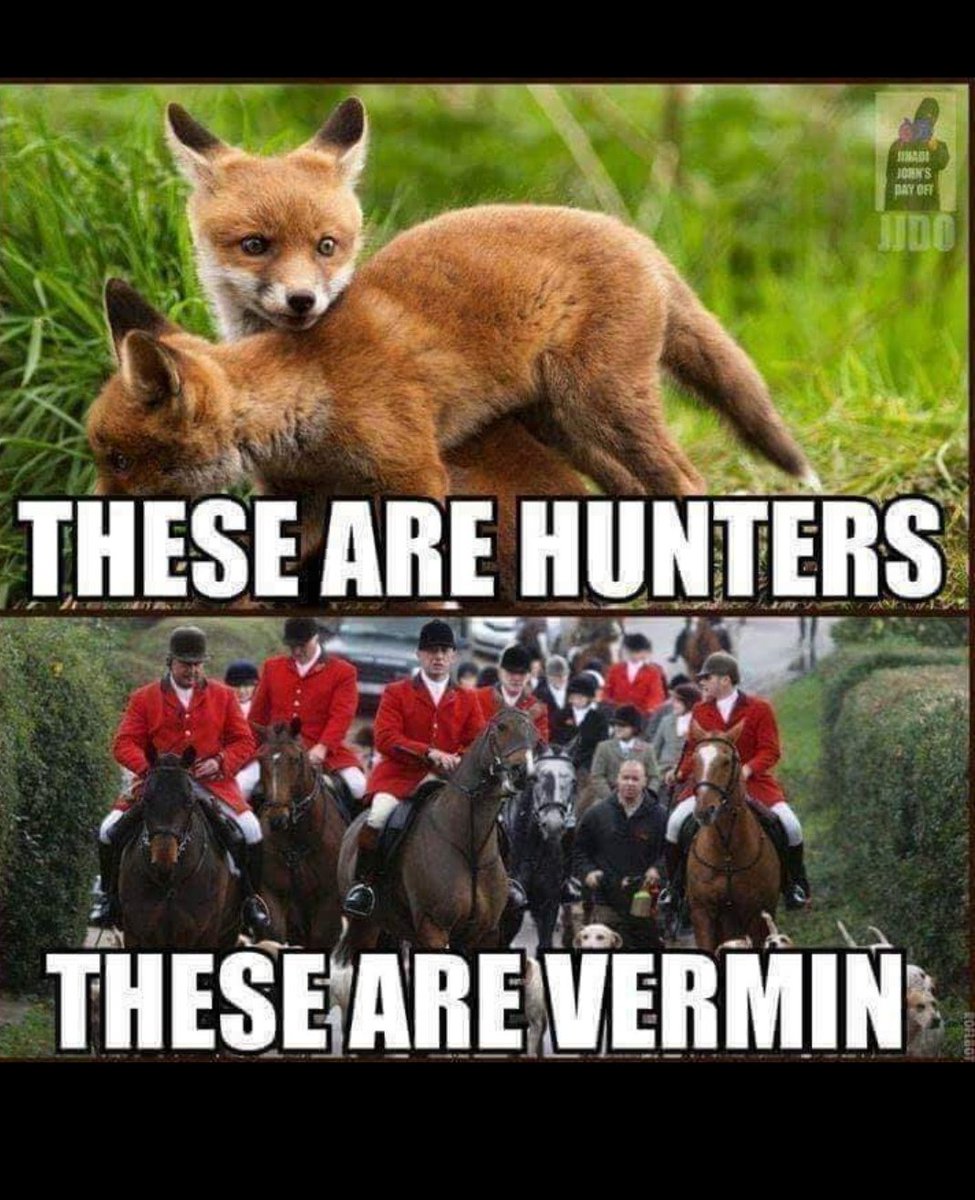 Pippagardener's tweet photo. @YorkAntiHunt Stop the Cruelty Please 😥 https://t.co/Gpjl1qXv3b