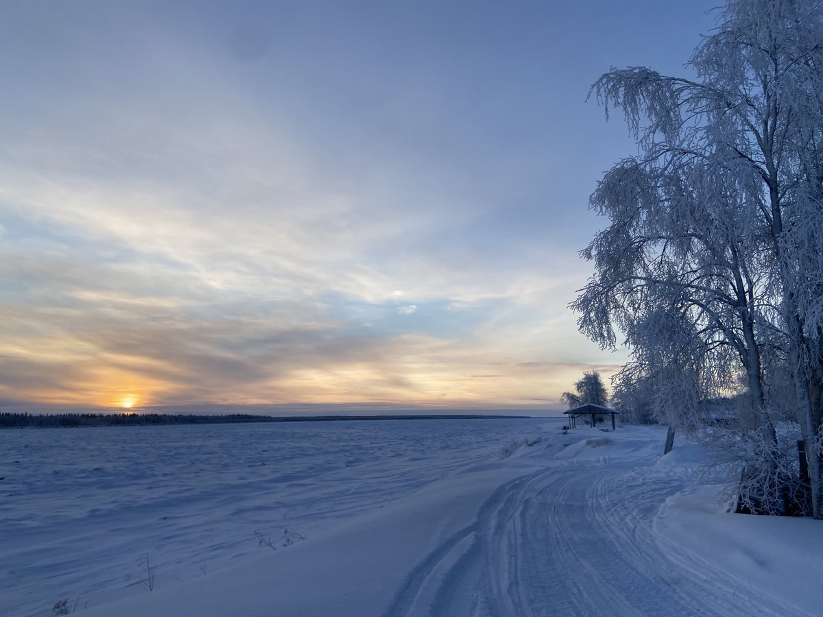 jawkneedango's tweet image. Spent the last few days working in the village of #grayling #alaska off the #yukon #river . What a special place , thanks for having me !