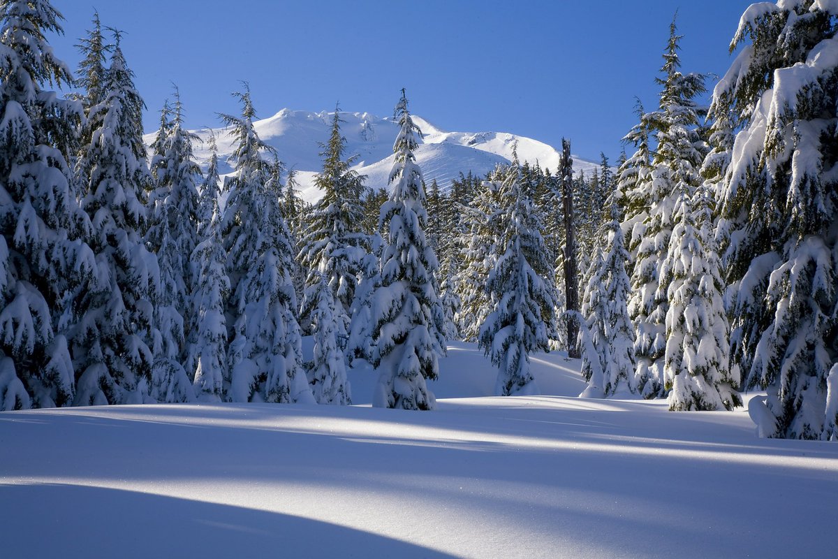 ForestServiceNW's tweet photo. The woods are lovely, dark and deep,   
But I have promises to keep,   
And miles to go before I sleep,   
And miles to go before I sleep.

—Robert Frost https://t.co/69uoA9cqDj