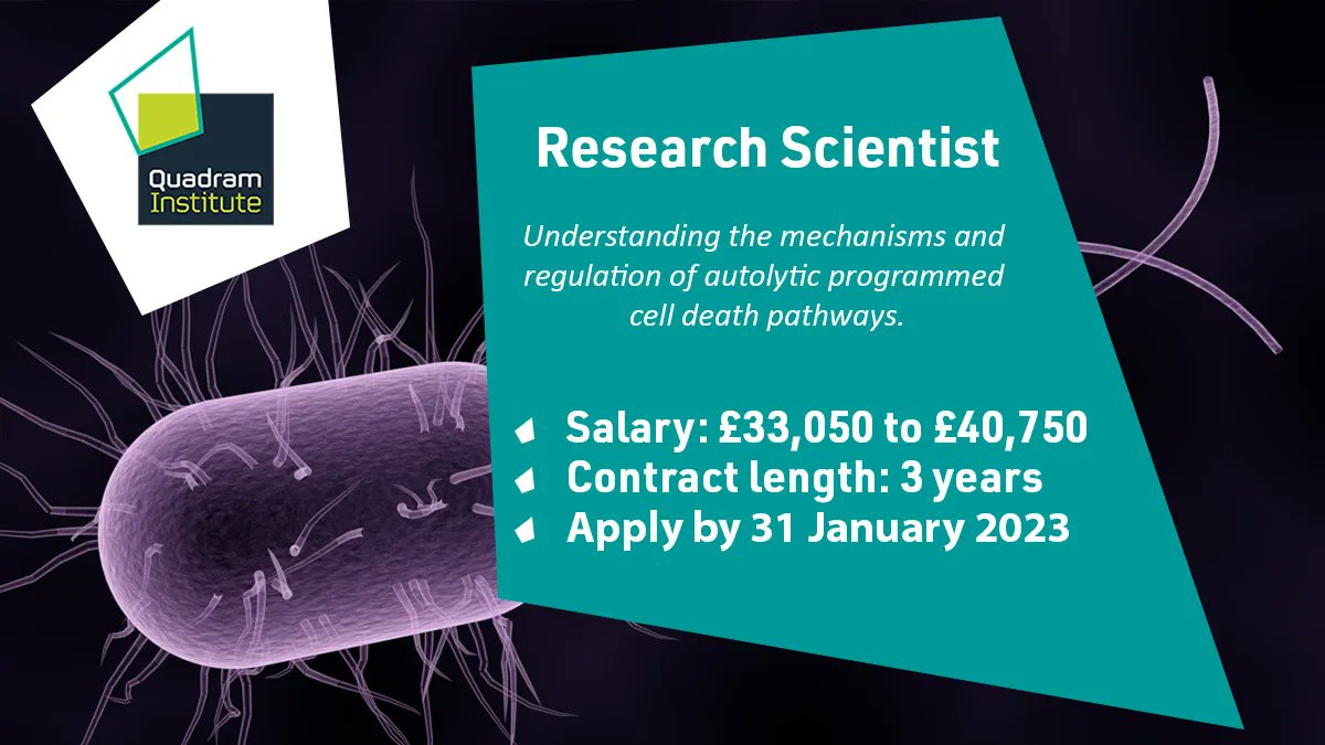 Do you have a PhD in #Microbiology, #MolecularGenetics, #Biofilms, or #Biochemistry?

We have an exciting opportunity to join @Cwhitch's group &amp; work on understanding how and why bacteria explode🦠 

💷£33,050 to £40,750
🗓️Apply by 31 January
➡️buff.ly/3vC99UE
