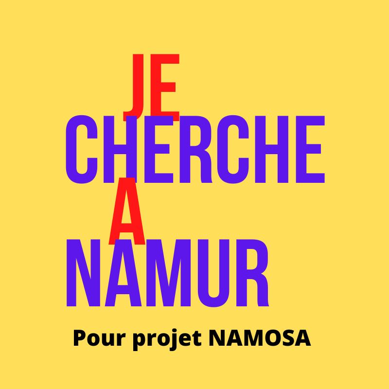 qualitissimo's tweet photo. Nous cherchons des contacts à la #villedeNamur pour avoir l'autorisation de créer le premier #DancePark en Belgique avec une #Marelle et ses nudges. Projet  sélectionné par #Namosa 2023 de #Promethea https://t.co/7LwMMMMptu