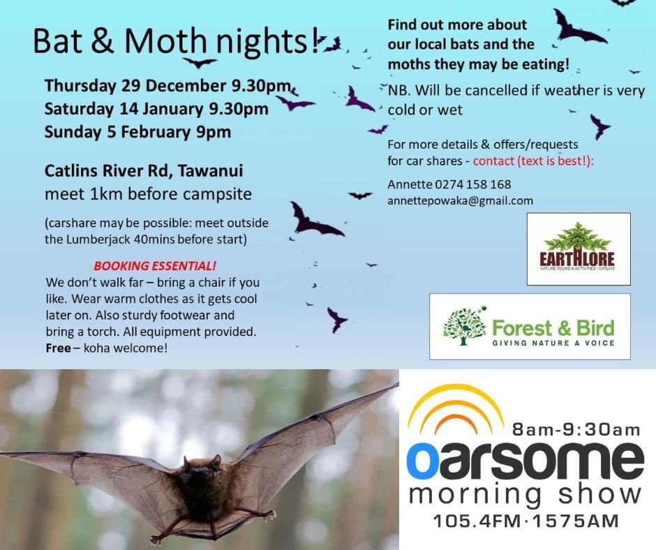 NZ Bat Conservation tweet media