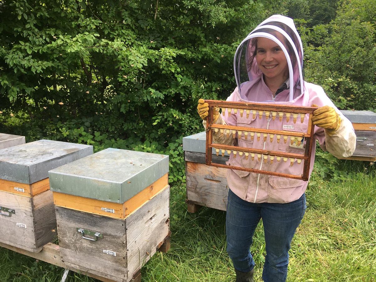 On soutient le #BeekeepingWorldRecord  ! Bon dimanche! #womeninbeekeeping