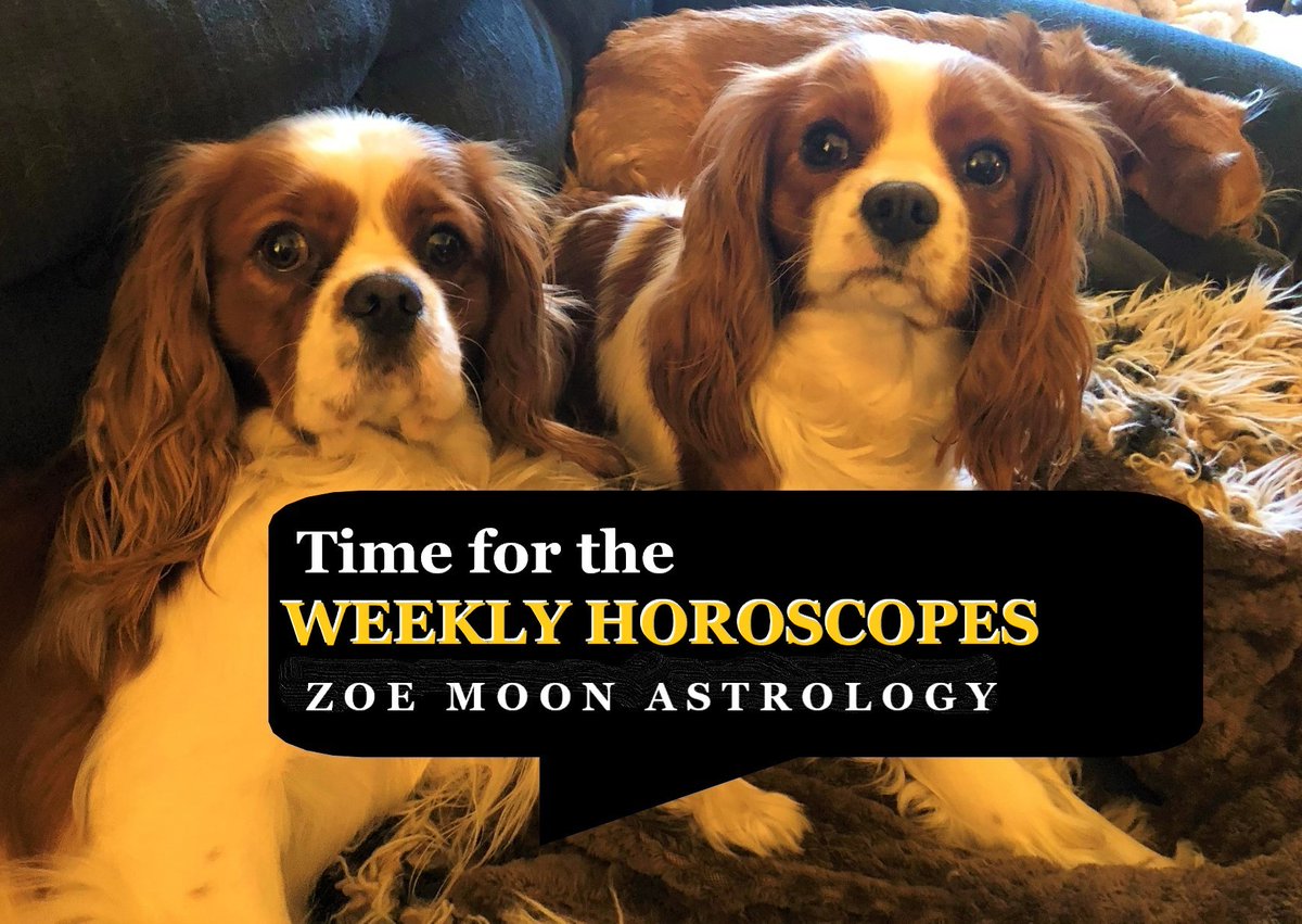 zoemoon's tweet photo. The WEEKLY HOROSCOPES Jan 16-22 are up, READ THEM HERE: https://t.co/zJwHUh8phH #weeklyhoroscopes #zoemoonastrology #zoemoon #weeklyastrology #weeklyhoroscope #astrology #horoscopes #mercurydirect #uranusdirect #mercuryretrograde https://t.co/EsxeNciad7