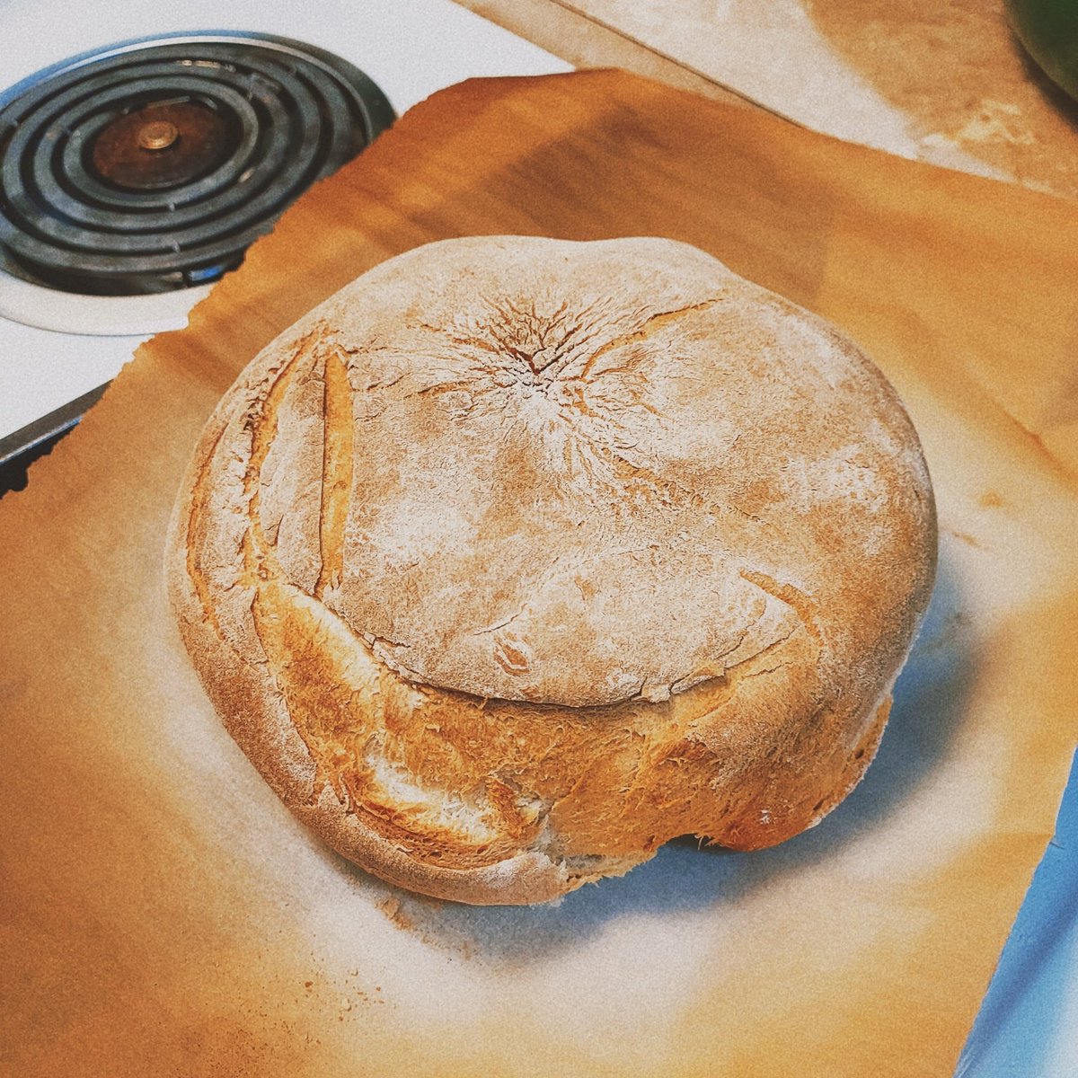 _CanadianMoose's tweet photo. Hi, hello. π Have you met my beautiful bread child? π₯°π₯°π₯°
#bread #baking #breadmaking #imadebread #justthelittlethings https://t.co/E8Ucpehrg2
