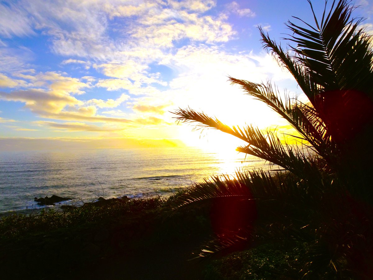 One of my most treasured views, looking out over the coast at Portwrinkle, Cornwall. If only it was as warm as it appears. 
#notablogpost #portwrinkle #cornwall #coastalviews #seaandsky #sunset #clouds #palms #dreamy #blueandyellow #waves #ripples #lovethesea #winterwalks