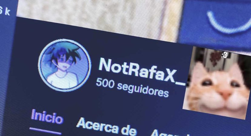 NotRafaX's tweet image. Hoy llegue a esto en mi canal de Twitch me siento bien llevo un año y quizás es poco pero me re costo por cosas del insti y todo pero bueno acá tamo osi osi ( nadie verá esto pero quería compartirlo)