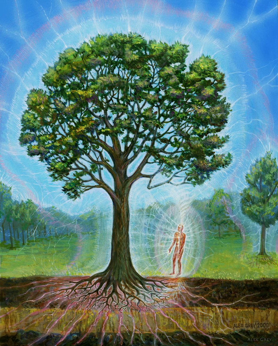 gaianvibes's tweet photo. As energetic beings, we are able to exchange thought forms (energy) with other energetic beings 

This includes "inanimate" objects such as stones, trees, plants etc.

Indigenous cultures know this, teaching us that we can cultivate relationships with the spirits of Nature https://t.co/b27PDPmD8G