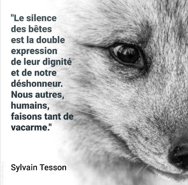 AdeaClaude's tweet photo. https://t.co/m0Nozxr2a5