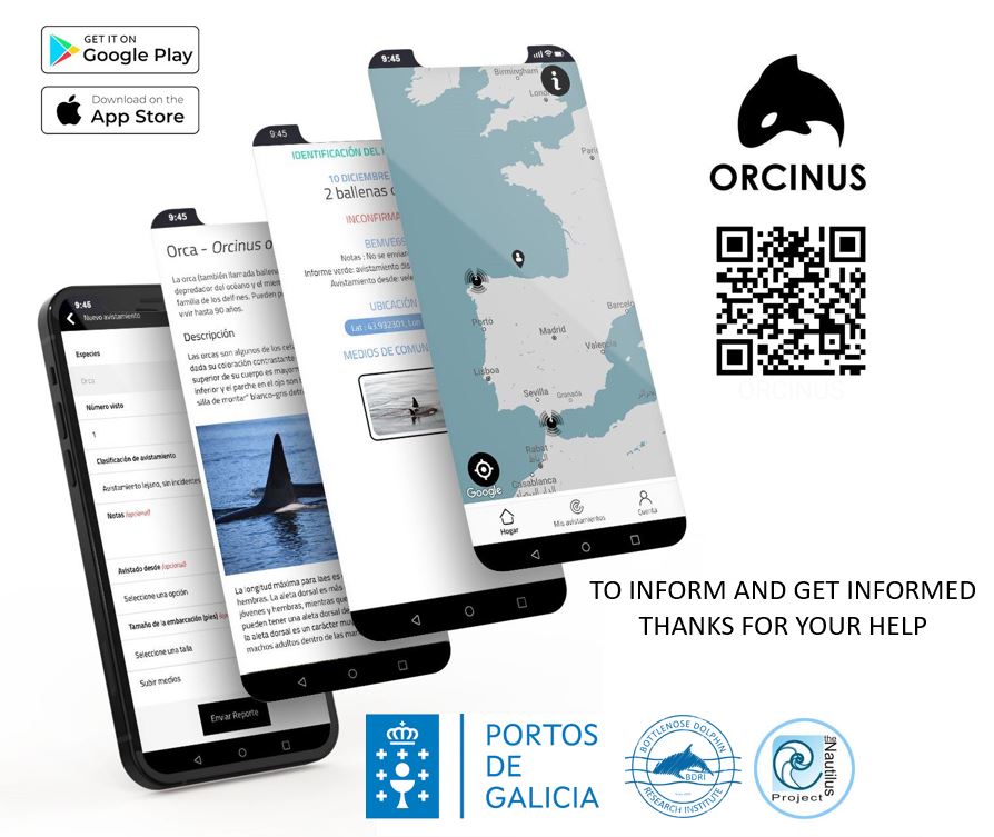 ¡NUEVA Aplicación para ayudar a los navegantes y saber dónde están las orcas! 'Orcinus', una aplicación de ciencia ciudadana que hemos creado en colaboración con The Nautilus Project y impulsada por Portos de Galicia. #Orcinus #sailing #orcas